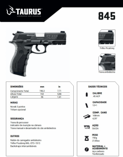 Pistola Taurus 845 - Tenox .45 ACP